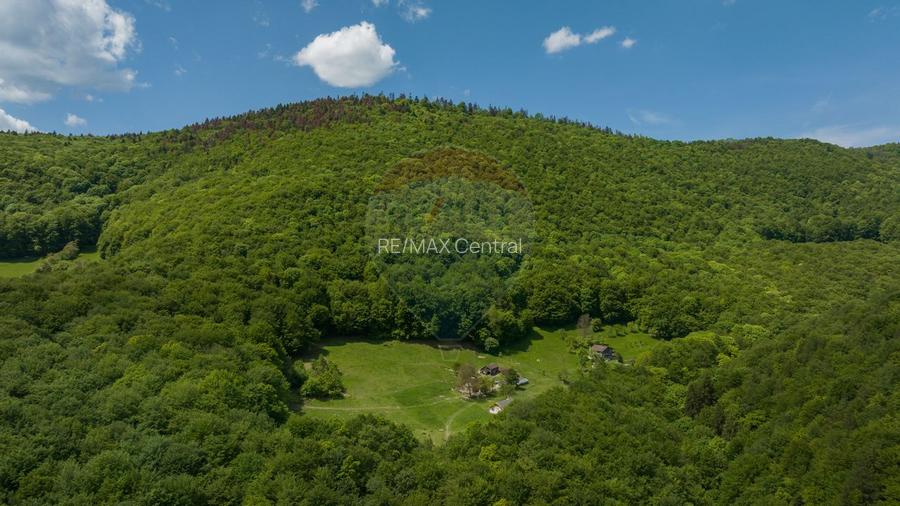 Teren de vanzare - Colonia 1 Mai, 5.310 mp, ideal pentru investitie - 2