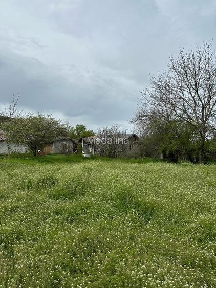 Vând teren intravilan stradal , posibilitate  parcelare  - 13