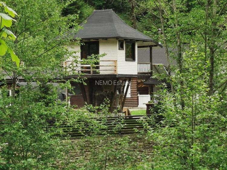 🌲 Cabana de Poveste | Molid – Vama - 6