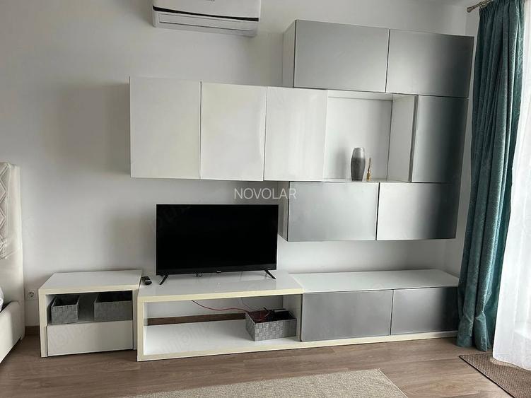 Studio modern zona - Brancoveanu - 7