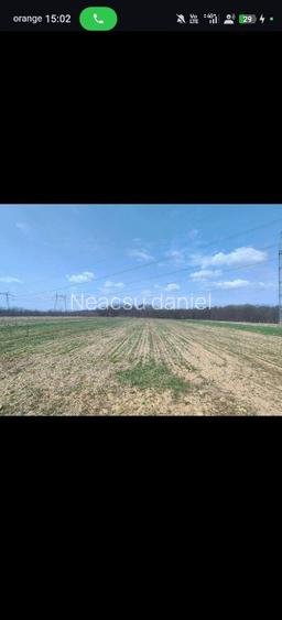 Casă + 2.760 mp teren aproape de Târgu-Jiu – liniște, spațiu și potențial! - 5