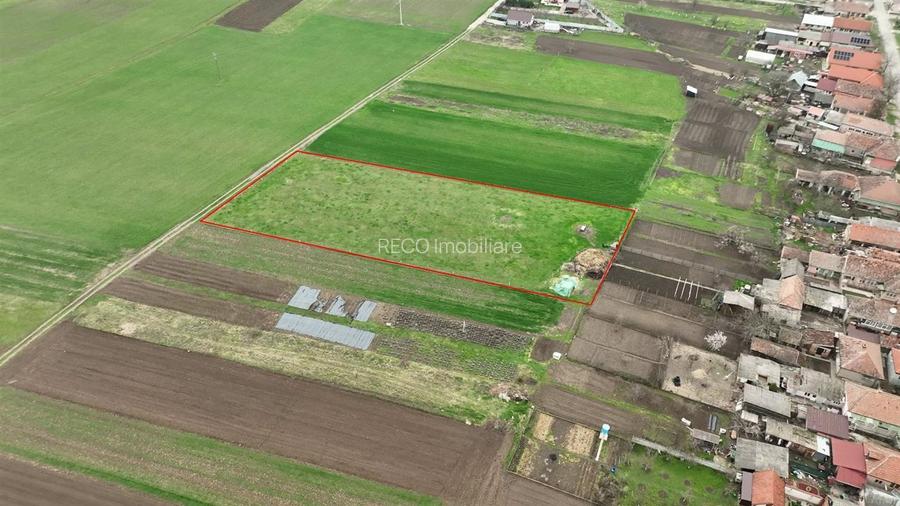 RECO Teren intravilan Girisu de Cris - 2