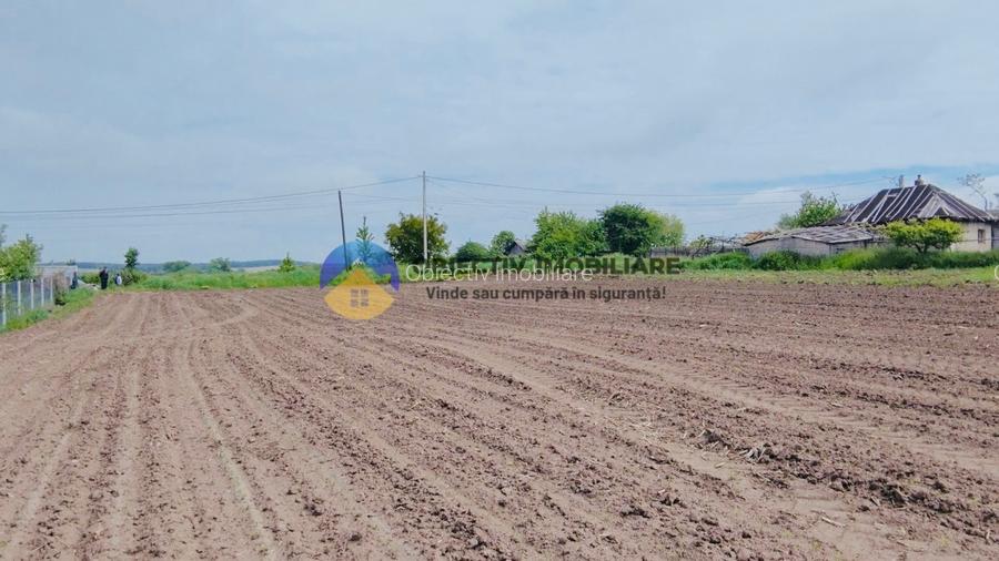 Teren- Com. Stefan cel Mare- jud. Neamt - 10