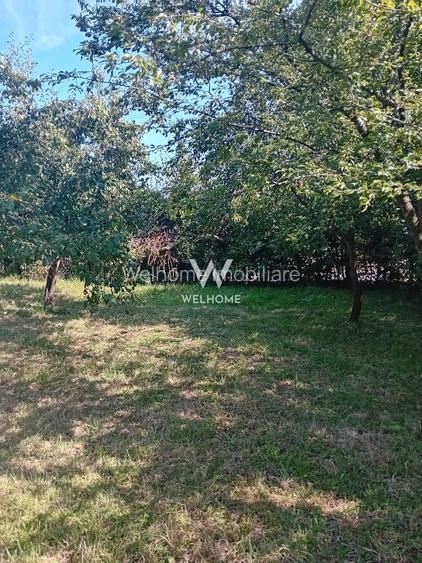 974 mp de vis, între pădure și cer - Teren intravilan, Cisnadioara, Sibiu - 4