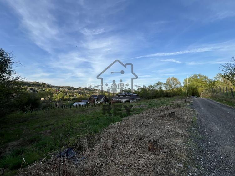 Teren la poalele Cetății Cisnadioarei de vânzare/1250 mp - 10