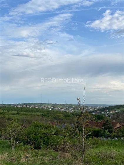 RECO Teren intravilan in Saldabagiu de  Munte 985mp - 3