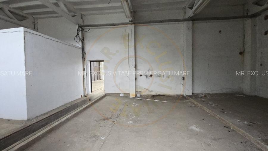 De Vanzare Hala/Depozit - 6
