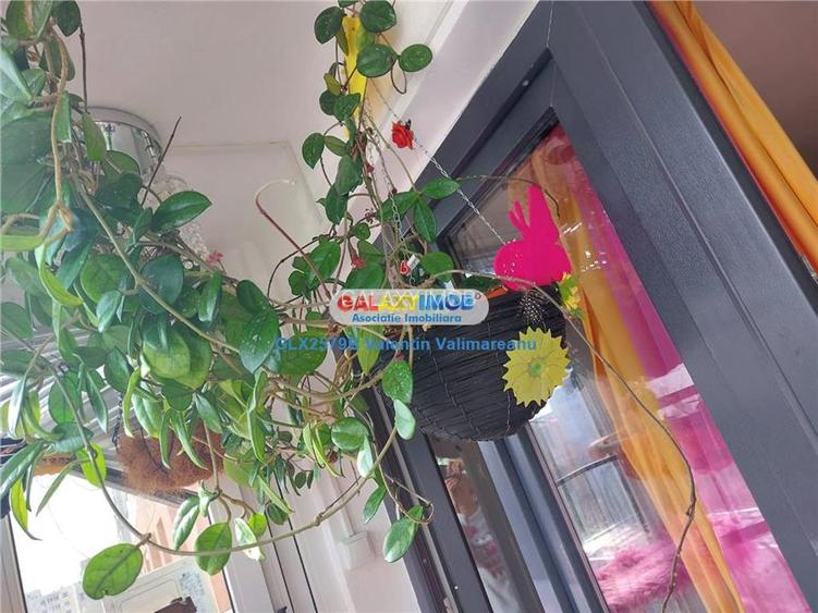 cod 1000 garsoniera metrou grigorescu - 4