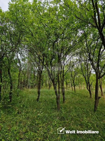 O noua viata la tara, la doar 28 km de oras! - 23