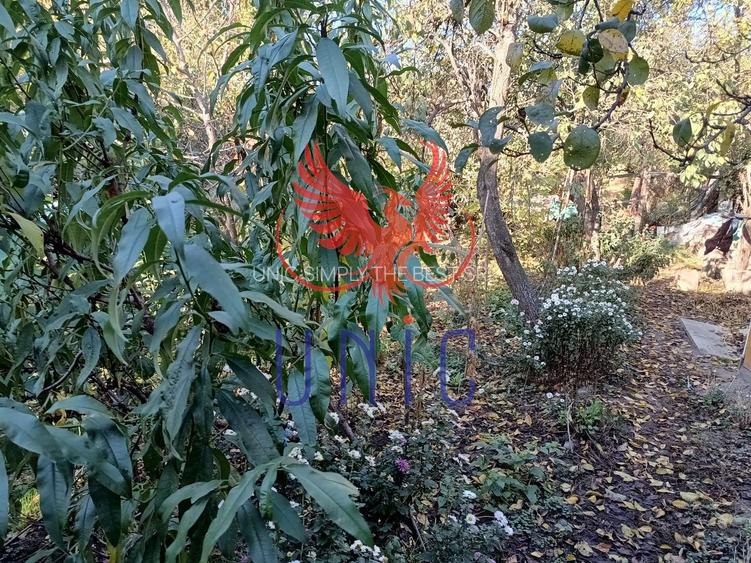 Teren Drumul Muntenilor, 980 mp, 2 deschideri - 5