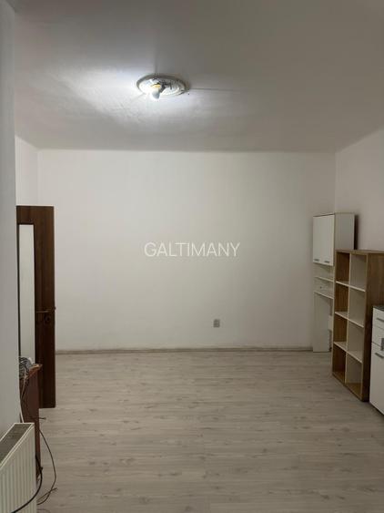 Vila P+1 Sector 1 Herastrau, Domenii, curte proprie, locuinta/birou/comercial - 11