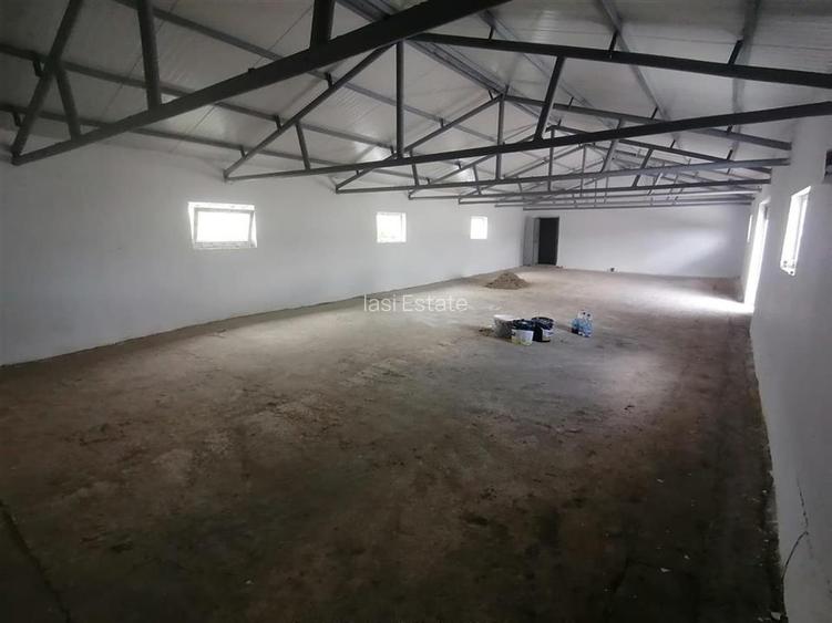 Hala 550mp zona Lunca Cetatuii - Dumbrava - 7