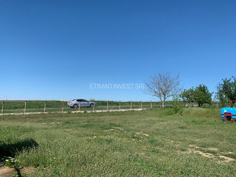 FERMĂ - PIETRENI - DN3 - UTILITĂȚI - 10.680 MP - 19