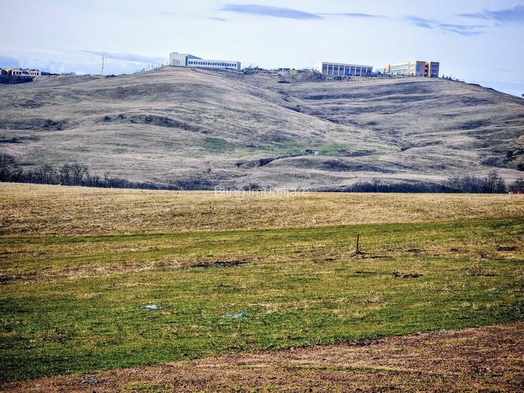 TEREN INTRAVILAN ,17.350 mp , in zona BORHANCI - SOPOR - 5