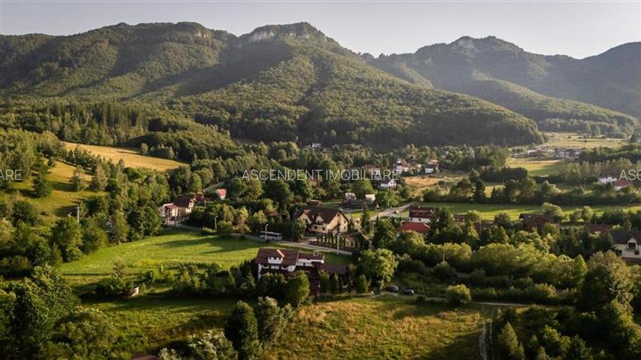 FILM! Investitie 2 in 1:Unitati independente +domeniu 1.742mp,aria Bran,Tohanita - 3