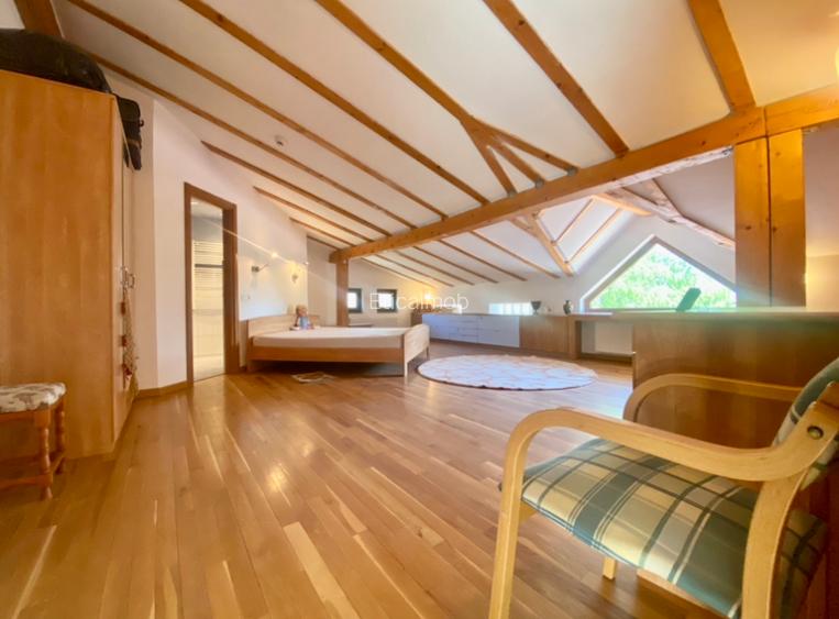 Vila de lux lângă Curtea Domnească – investiție premium Târgoviște, teren 1.700 - 55