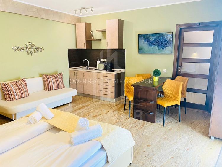 Studio de închiriat-Zona Centrala - 2