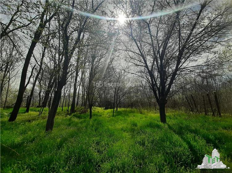 Casa la curte cu livada/teren 1274 mp in Bragadiru - 4