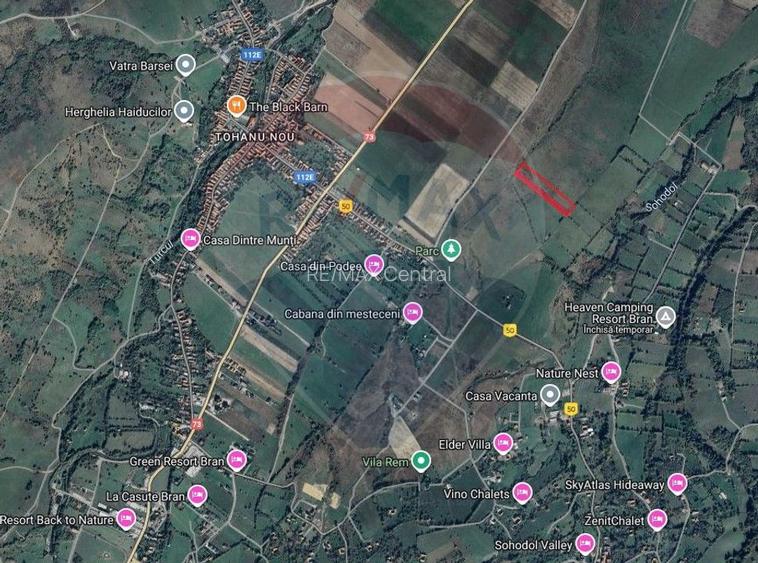 Teren Bran Sohodol - 11089, extravilan - 3