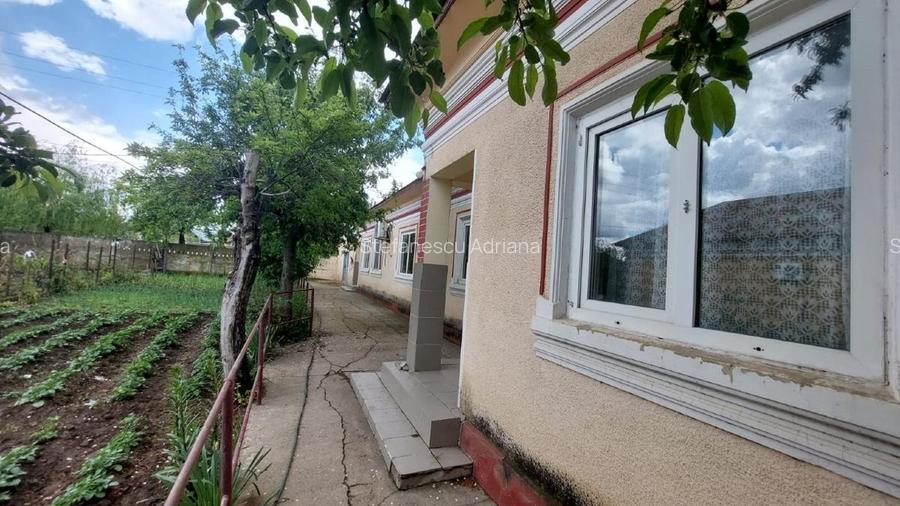 Proprietate cu 2 locuințe + spațiu comercial, 1175 mp teren – Islaz - 4