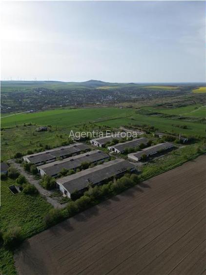 Ferma de vanzare in localitatea Bestepe - 6