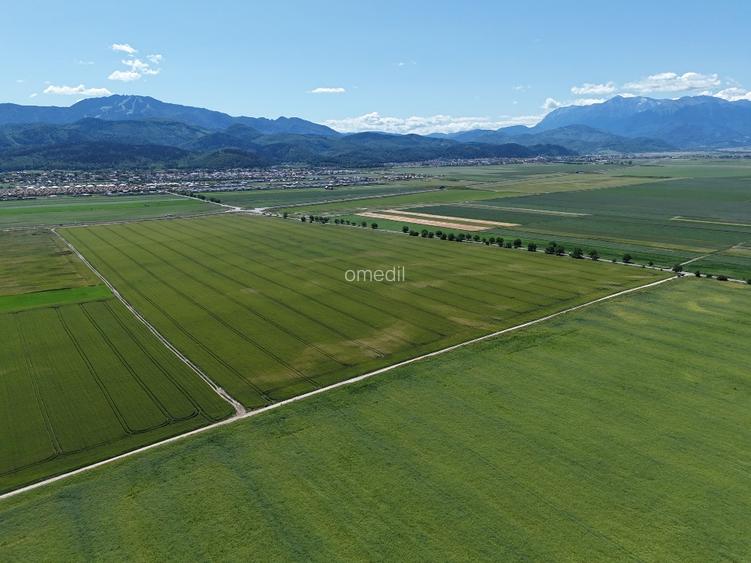 Teren de vânzare într-un ansamblu rezidențial nou! - 5