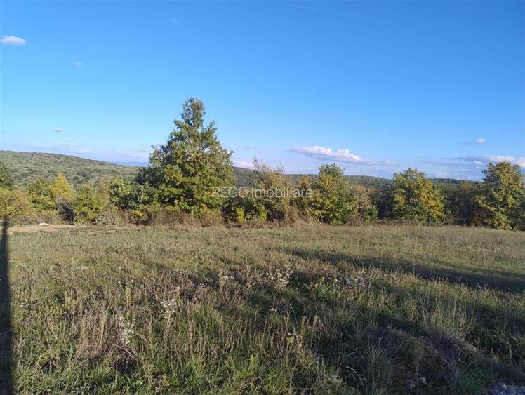 PECO Teren intravilan Saldabagiu De Munte - 4