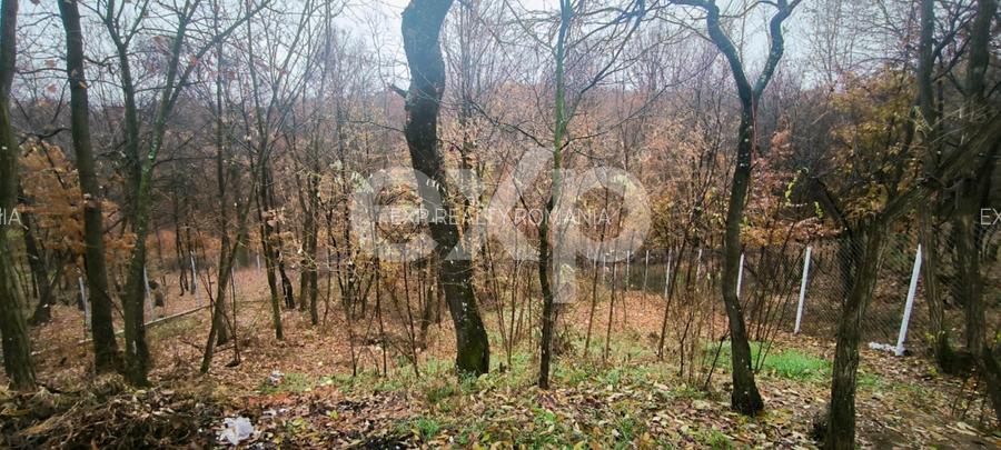 Babana, Slătioarele | Casă modernă, gata de mutare, la 12 km de Pitești - 15