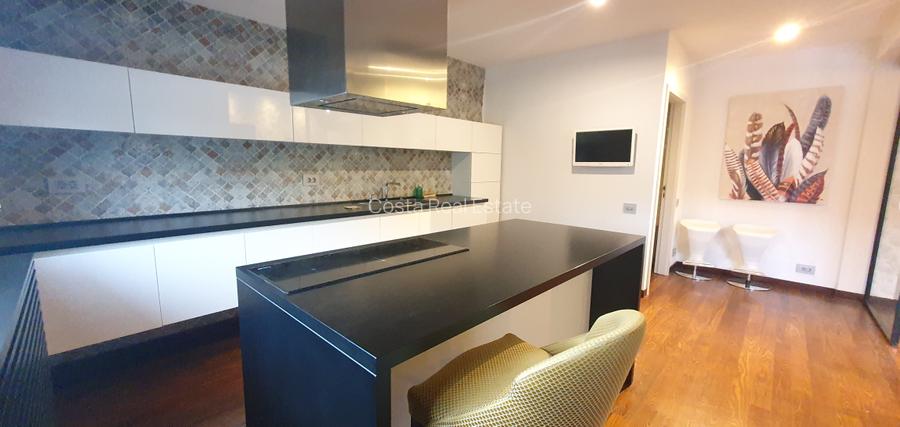 Inchiriere vila moderna Iancu Nicolae - 2