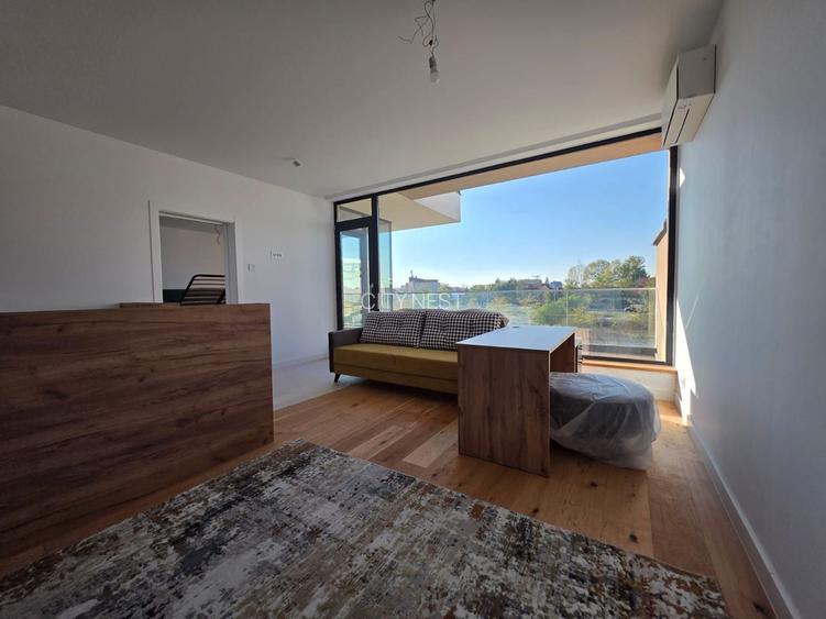 Vilă de lux în zona Emil Racovita - 7