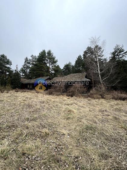 Teren Piatra Neamt - zona strand ideal pentru Hotel - 10