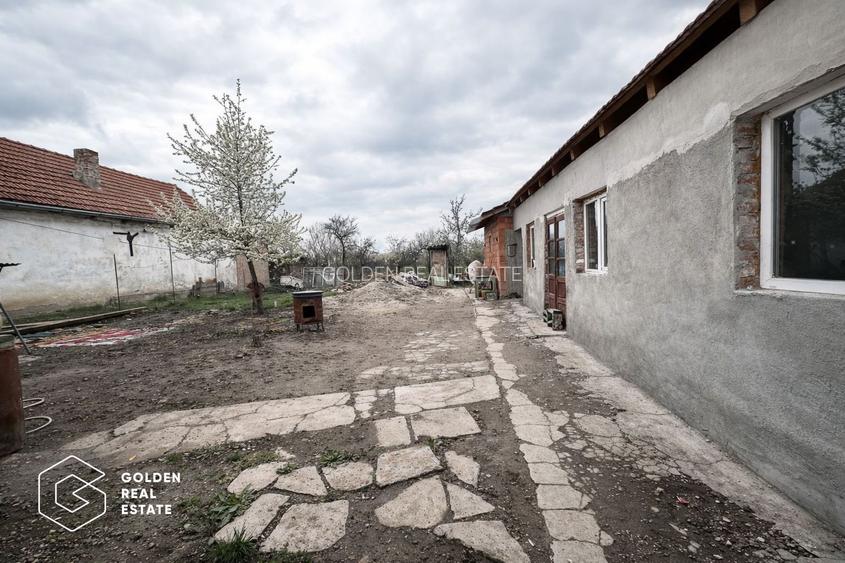 Casa cu 3 camere in Sinicolau Mic, teren 400 mp - 8