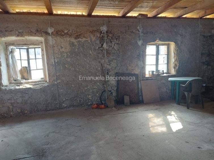 Casa Goruia cu teren,gradina,livada de pruni si pădure  - 3