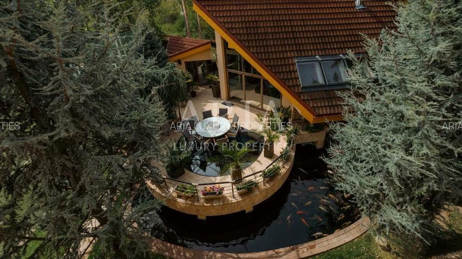 Vila grandioasa, Gradina Japoneza, SPA, Crama, Teren Tenis, Foisor, Iaz Pesti - 4