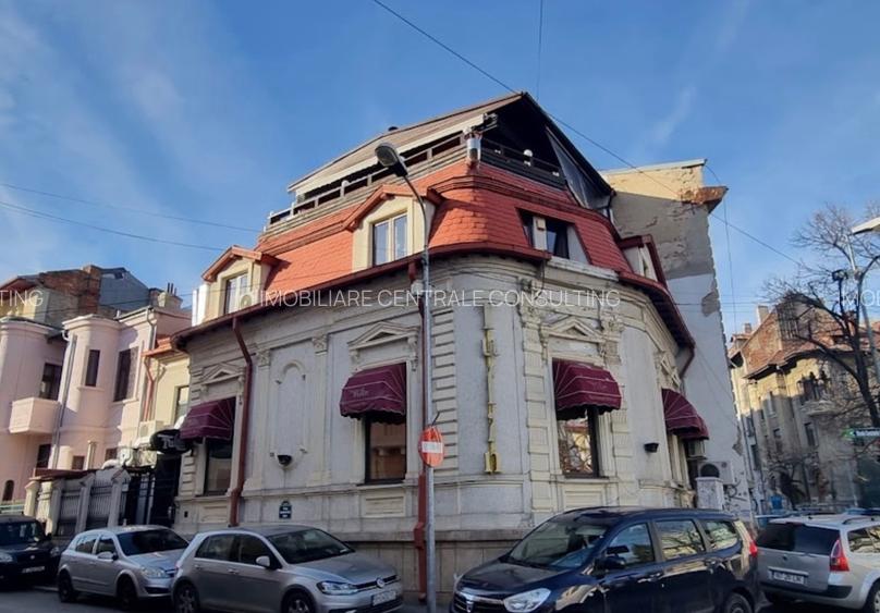 Cismigiu, prieliste superba,  vila consolidata si renovata total. - 11