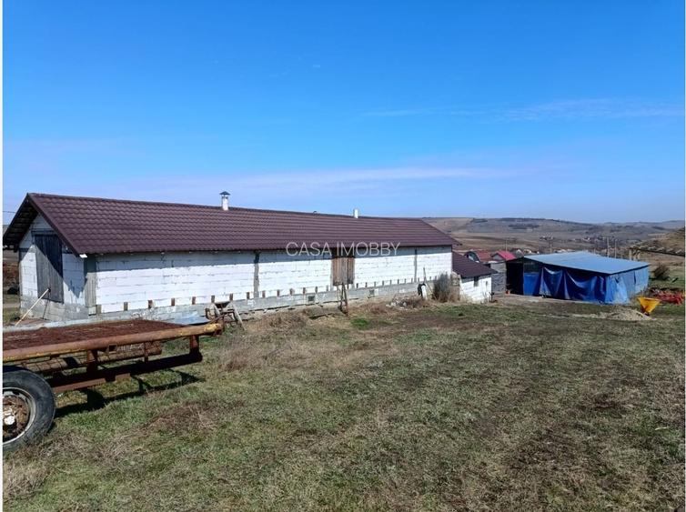 Oferta de vanzare ferma: hala de 500 mp.+teren 6500 mp, Frata, 65000 EURO - 5