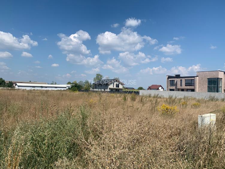 OPORTUNITATE DEZVOLTARE REZIDENTIALA 5895mp HARMAN - 3