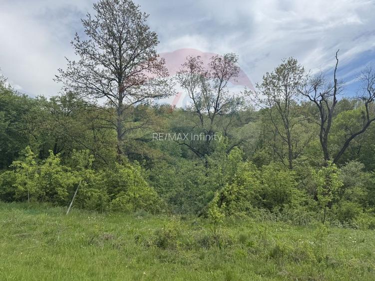 Proprietate OFF-GRID 5,76 Ha. Casa tradiționala lemn. Limită Cluj - 9