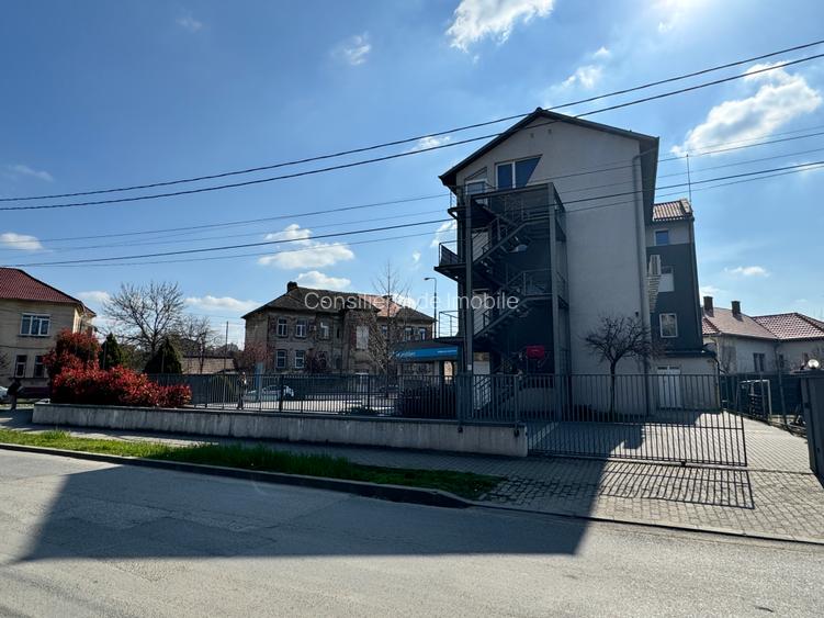 Cladire de inchiriat, curte proprie, 834 mp utili, Timisoara - 4