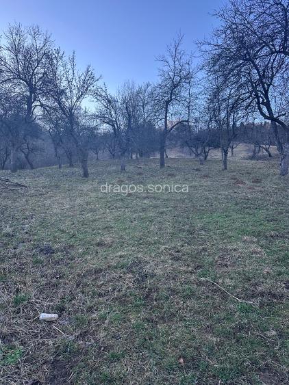 Teren de vanzare intravilan  Bran - 6