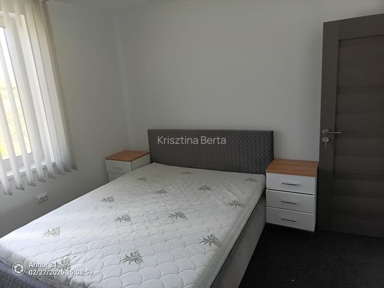 Casa individuala noua de inchiriat in Cetariu, disponibila imediat - 9