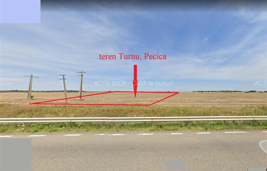 122 ari in Turnu, front 60 m la DN 7B, 15 km de Arad, 1 km de vama - 8