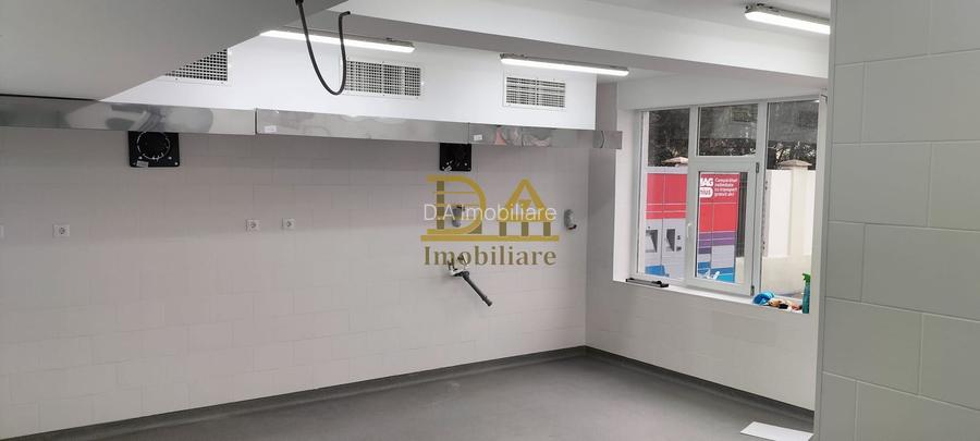 Spatiu comercial (ideal Horeca) de inchiriat in zona Doamna Ghica - 12