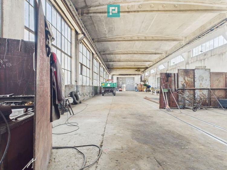 Complex industrial cu hale și teren  în Orțișoara - 40