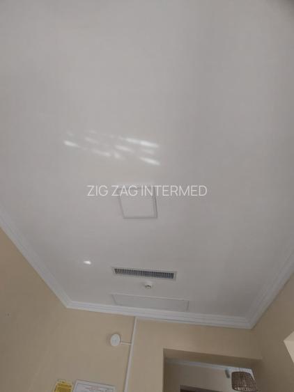 Ultracentral - cladire emblematica D+P+1+M, 430 mp., curte 200  mp. - 21