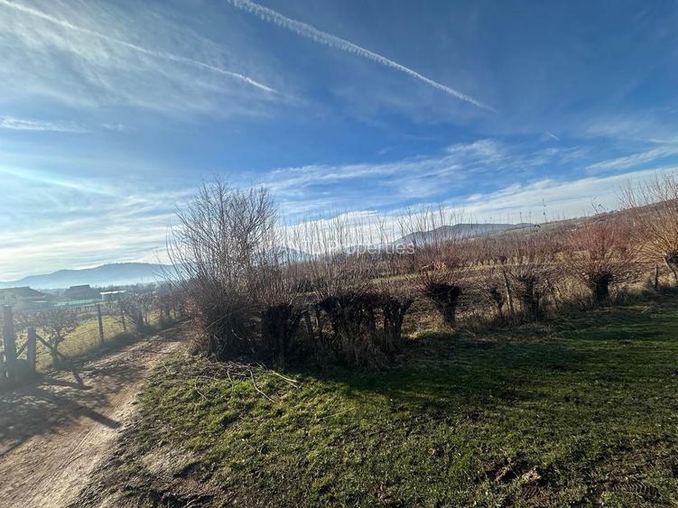 TEREN INTRAVILAN 1080 MP IN RASINARI - 2