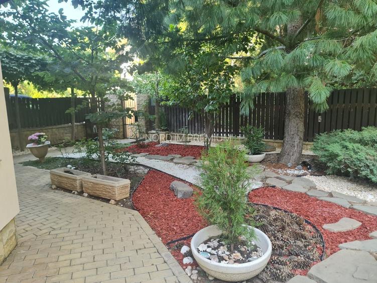 Vila Superba Pipera - 35