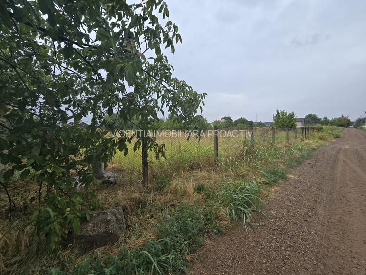 Teren Intravilan, Sat. Vanatori, toate utilitatile! - 3