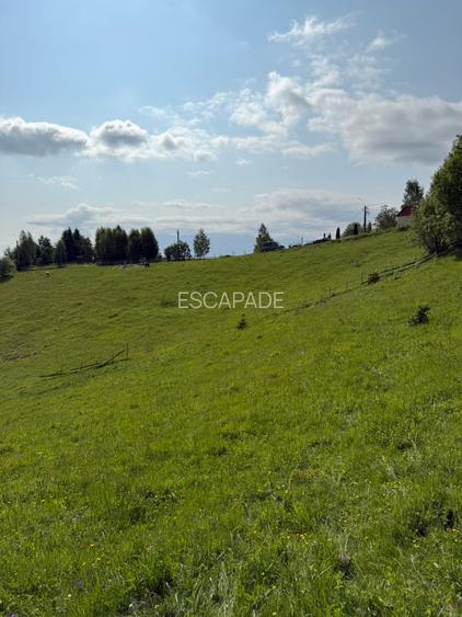 Teren superb intravilan  Pestera- Brasov, 11.908 mp - 7