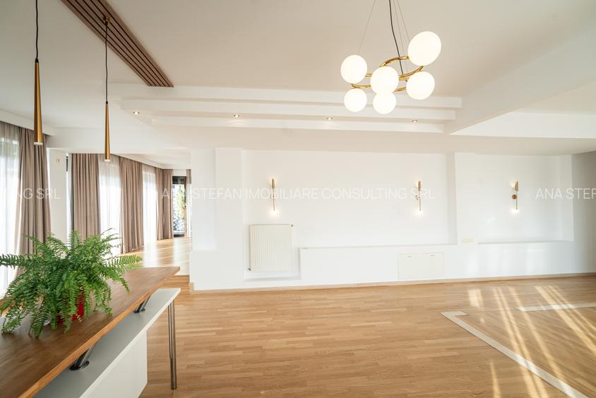 Penthouse - Herastrau - 18